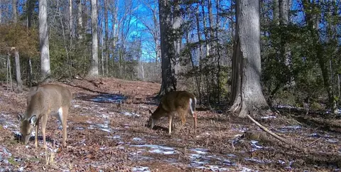 lot4 Pickens Dr, Pendleton, SC 29670