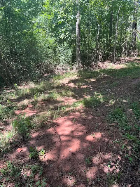 lot57 Fox Run Rd, Walhalla, SC 29691 photo 5