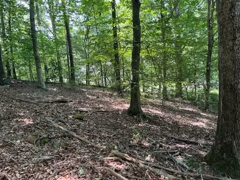 lot57 Fox Run Rd, Walhalla, SC 29691 photo 4