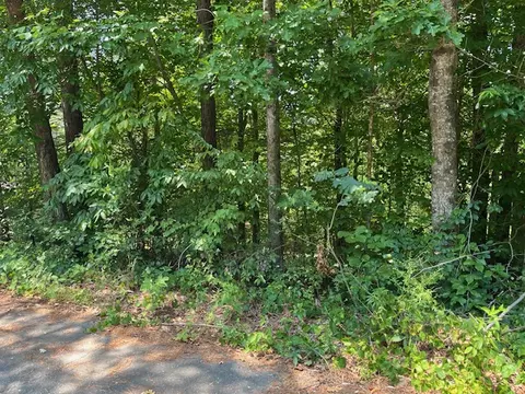 lot57 Fox Run Rd, Walhalla, SC 29691 photo 3