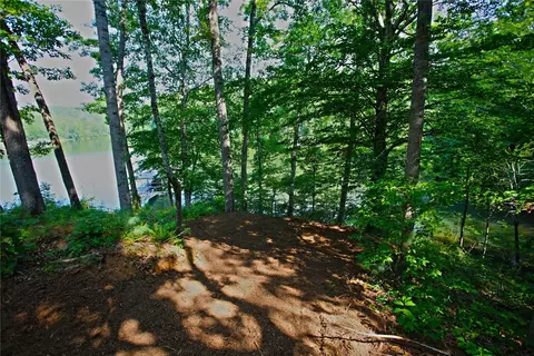 330 High Hampton Rd, Salem, SC 29676 photo 50