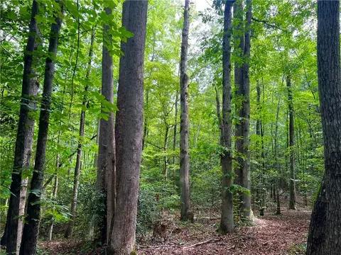 0 N Old Pendleton Rd, Easley, SC 29642 photo 13