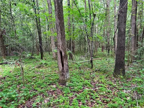0 N Old Pendleton Rd, Easley, SC 29642 photo 7