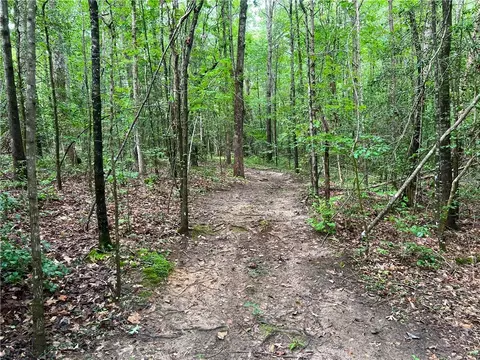 0 N Old Pendleton Rd, Easley, SC 29642 photo 12