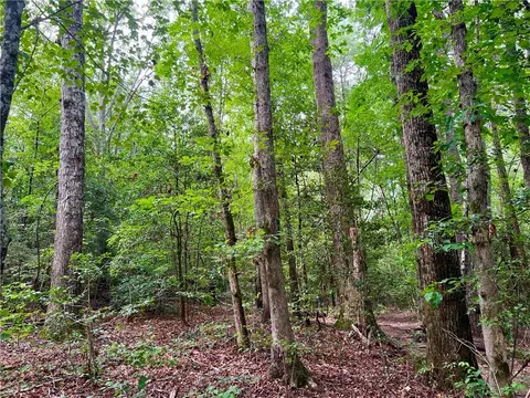 0 N Old Pendleton Rd, Easley, SC 29642 photo 10