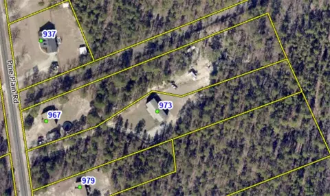 View/Area - 973 Pine Plain Rd, Gaston, SC 29053 photo 1 of 1