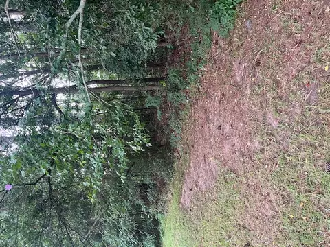 00 Branch St, Walhalla, SC 29691 photo 7
