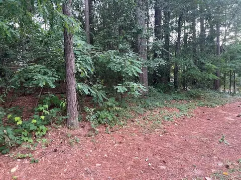 00 Branch St, Walhalla, SC 29691 photo 6