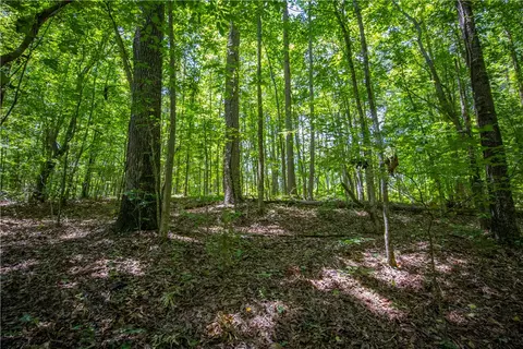 132 E Avondale Dr, Westminster, SC 29693 photo 7