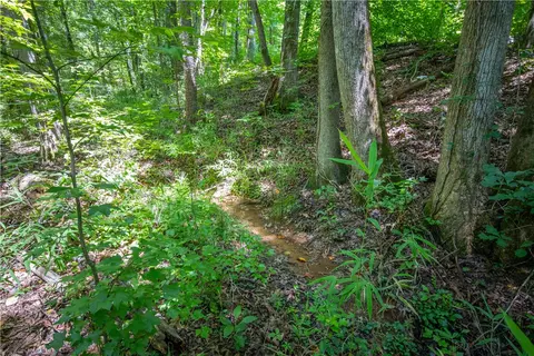 132 E Avondale Dr, Westminster, SC 29693 photo 6