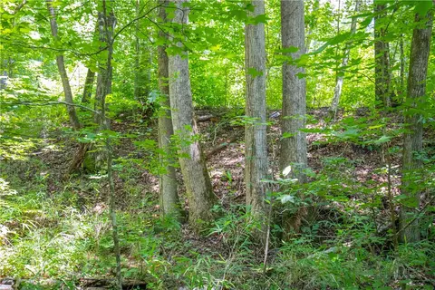 132 E Avondale Dr, Westminster, SC 29693 photo 9