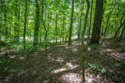132 E Avondale Dr, Westminster, SC 29693 photo 10