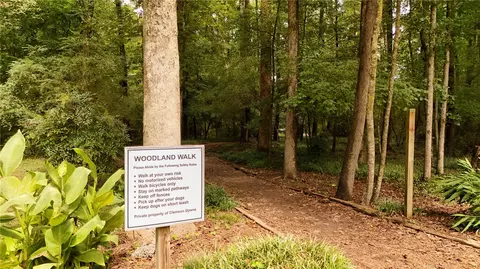 View/Area - 620 Downs Loop, Clemson, SC 29631 photo 1 of 1
