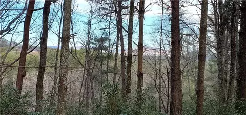 116 Sweetshrub Way, Sunset, SC 29685 photo 5