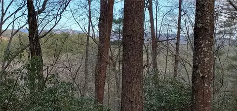 116 Sweetshrub Way, Sunset, SC 29685 photo 6