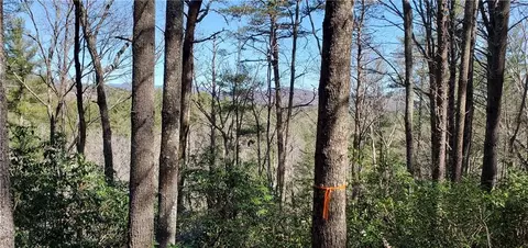 116 Sweetshrub Way, Sunset, SC 29685 photo 7