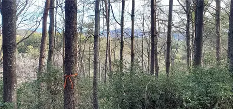 116 Sweetshrub Way, Sunset, SC 29685 photo 4