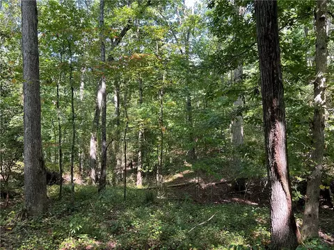 235 Old Henderson Rd, Central, SC 29630 photo 4