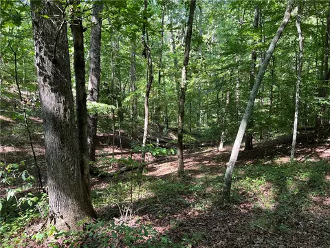 235 Old Henderson Rd, Central, SC 29630 photo 5