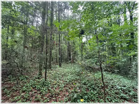 00 Chantilly Cir, Seneca, SC 29678 photo 8