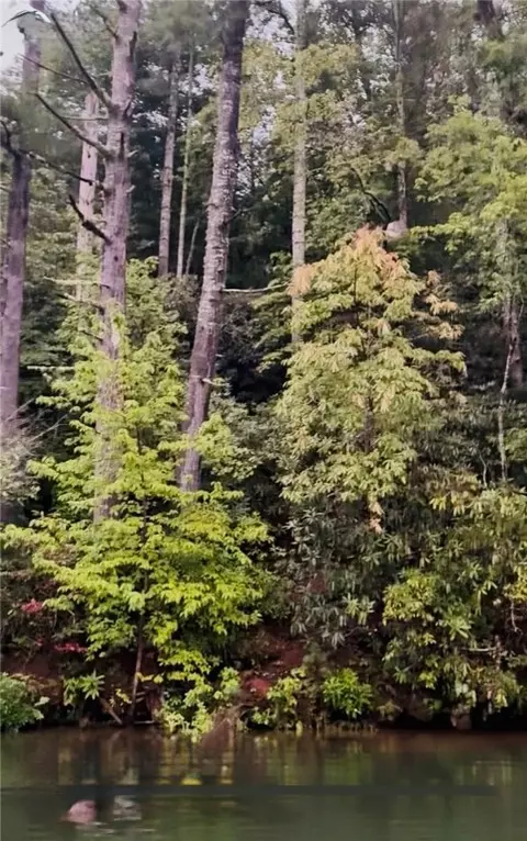 325 Evergreen Ridge Rd, Tamassee, SC 29686
