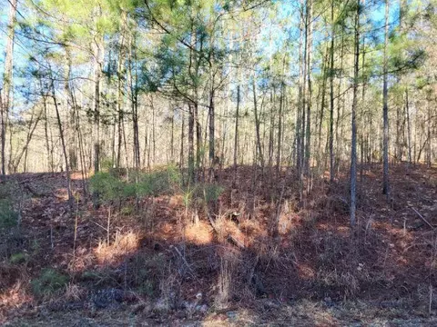 lot E 25 Pine Ridge Way, Salem, SC 29676