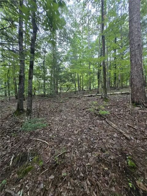 00 Dockside Dr, Iva, SC 29655 photo 3