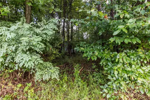 4 Bowen Hill Rd, Pelzer, SC 29669 photo 8