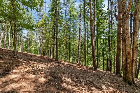 117 Links View Ct, Sunset, SC 29685 photo 13