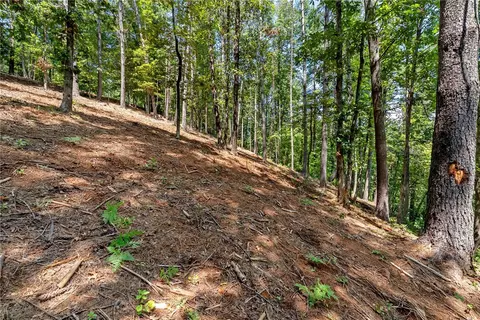 117 Links View Ct, Sunset, SC 29685 photo 18