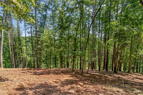 117 Links View Ct, Sunset, SC 29685 photo 23