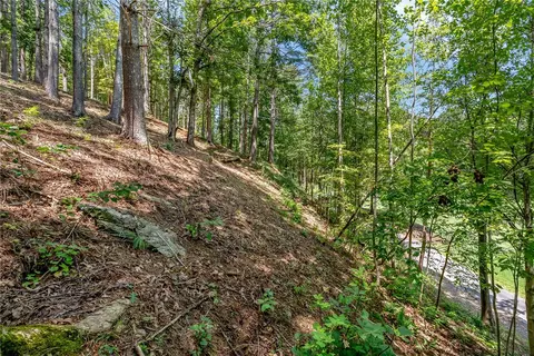 117 Links View Ct, Sunset, SC 29685 photo 17