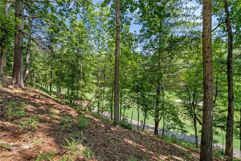 117 Links View Ct, Sunset, SC 29685 photo 16