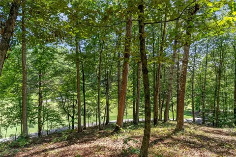117 Links View Ct, Sunset, SC 29685 photo 15