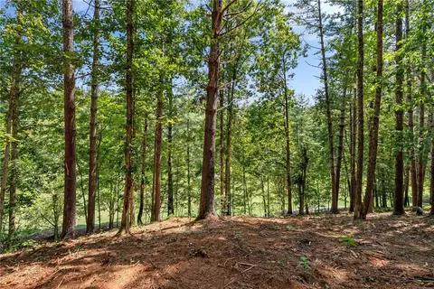 117 Links View Ct, Sunset, SC 29685 photo 19