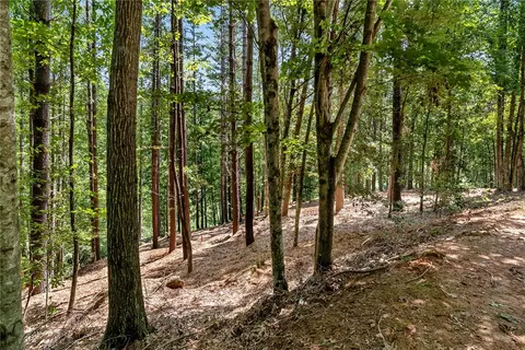 117 Links View Ct, Sunset, SC 29685 photo 22