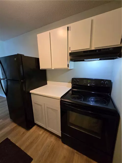 125 Maple St #112, Pendleton, SC 29670 photo 4