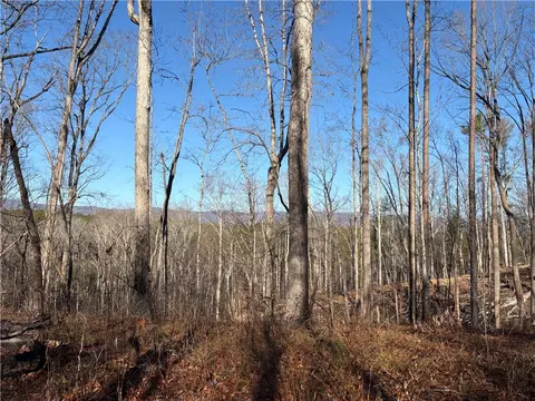 Tract Q The Bear Boulevard, Tamassee, SC 29686