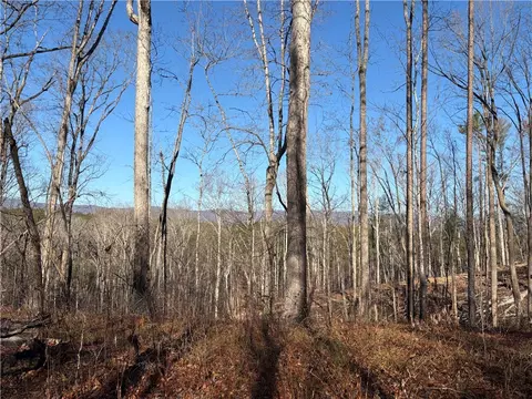 Tract Q The Bear Boulevard, Tamassee, SC 29686