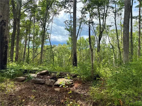 Tract Q The Bear Boulevard, Tamassee, SC 29686