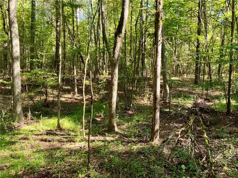 00 Horse Farm Rd, Iva, SC 29655