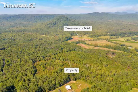 00 Walking Tall Rdg, Tamassee, SC 29686