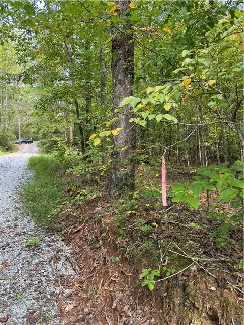 191 Duncan Mountain Trl, Sunset, SC 29685 photo 18