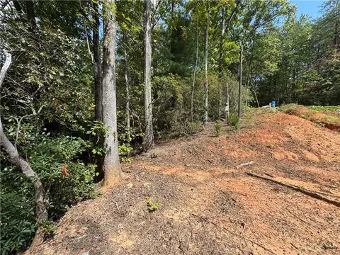 191 Duncan Mountain Trl, Sunset, SC 29685 photo 8