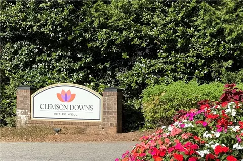 Other - 600 Downs Loop, Clemson, SC 29631 photo 7 of 10