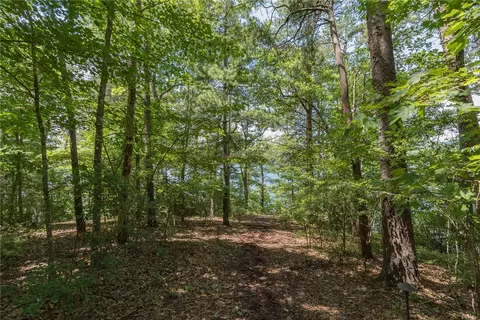 121 Mountain Mint Way, Sunset, SC 29685 photo 19