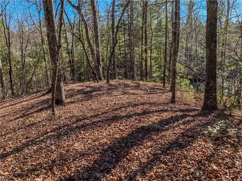 S78 Red Buckeye Trail, Sunset, SC 29685 photo 9