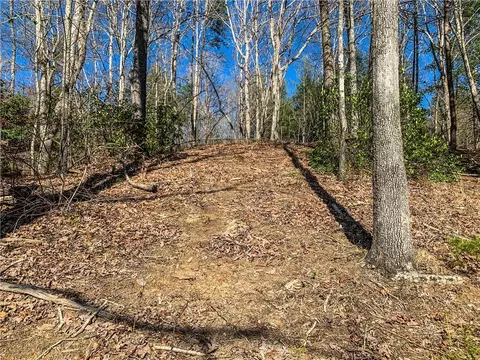 S78 Red Buckeye Trail, Sunset, SC 29685 photo 8