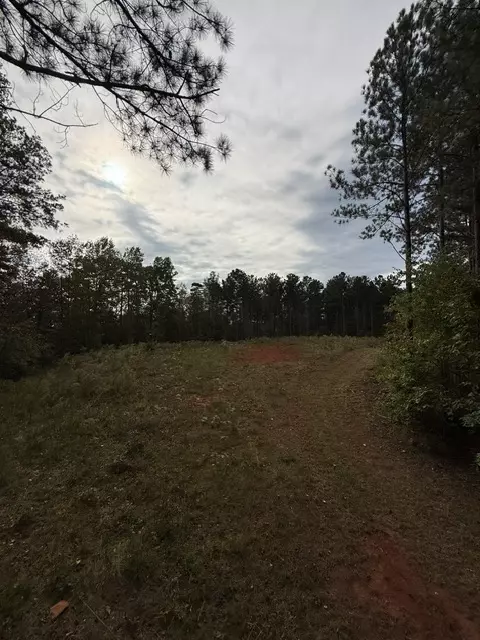 39 96 Acres Wolf Stake Church Rd, Seneca, SC 29672