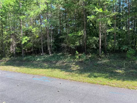 20 Vineyard Park, Sunset, SC 29685 photo 3